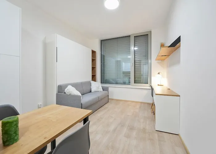 Modern Flat With Rooftop Terrace